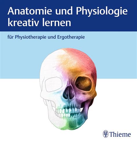 Anatomie und Physiologie kreativ lernen für Physiotherapie und