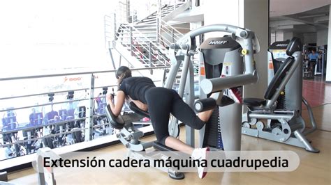 Extensi N Cadera Maquina Cuadrupedia Youtube