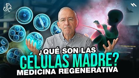 ¿cuáles Son Las Desventajas De La Investigación Con Células Madre Valetry