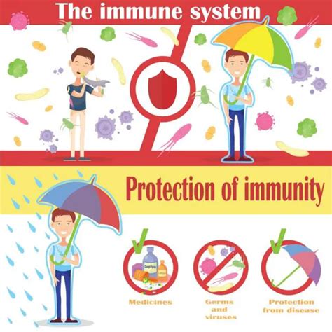 Immune System Diseases: Types, Symptoms, Prevention | STD.GOV Blog