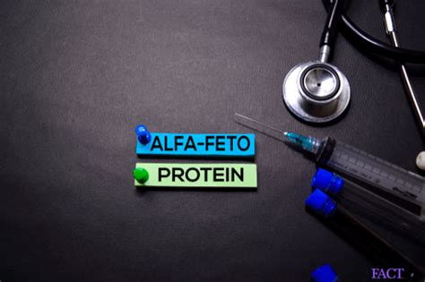 Alpha Feto Protein (AFP) Test : Purpose, pregnancy, & results | FactDr