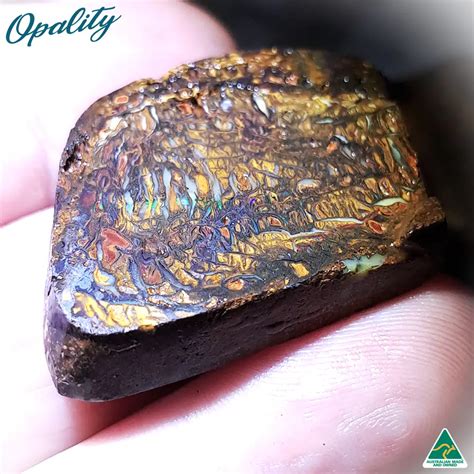 Australian Yowah Nut Boulder Opal Rough Cut Pair Ct Opality