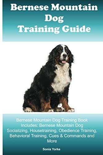 Bernese Mountain Dog Training Guide Bernese Mountain Dog Training Book ...