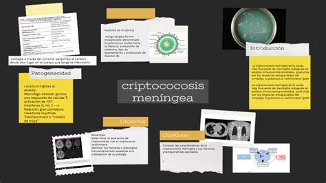 Cryptococosis meníngea y el sistema inmune A Propósito de un Caso