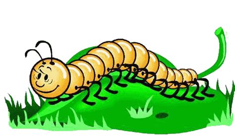 Centipedes Animated Images S Pictures And Animations 100 Free