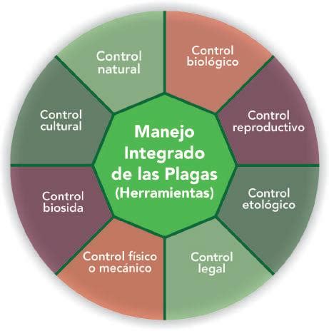 Cap Tulo Manejo Integrado De Plagas Insectiles En La Caficultura