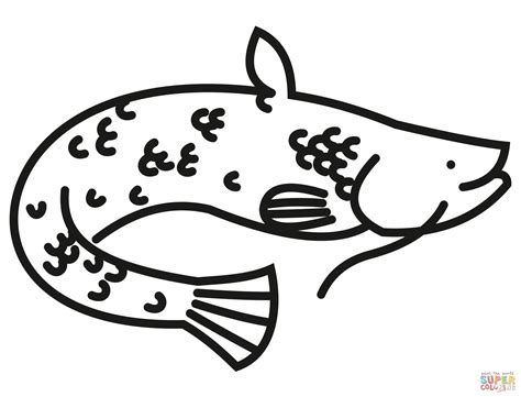 Catfish Coloring Page Free Printable Coloring Pages