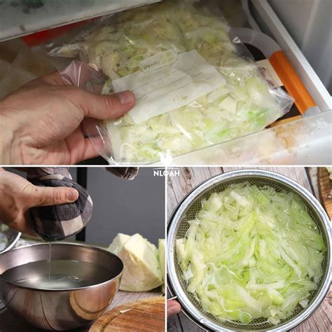 How To Freeze Shredded Cabbage Quickly And Easily