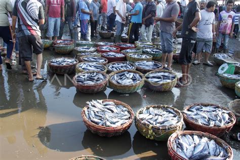 Dampak El Nino Pada Sektor Perikanan Antara Foto