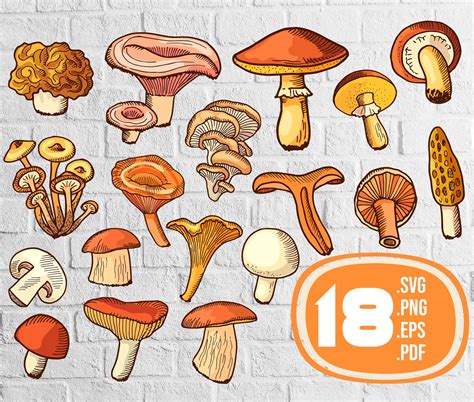 Mushrooms Svgmushrooms Svg File Mushrooms Animation Svg Mushrooms