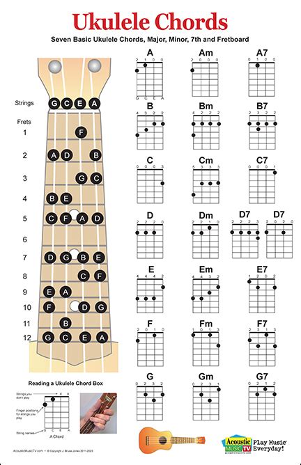 Ukulele Chord Chart And Fretboard Practice Poster Acoustic Music Tv