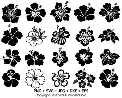 20 Hawaii Hibiscus Flower Svg Bundle Tropical Flower Svg Etsy