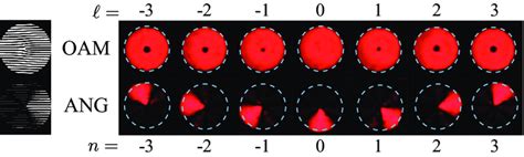 The Set Of 7 Oam Modes Used For Information Encoding Top The Ang