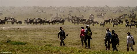 Africa On Foot Top Walking Safaris Africa Geographic