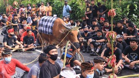 Klungkung Usulkan Tradisi Jadi Warisan Budaya Tak Benda Salah