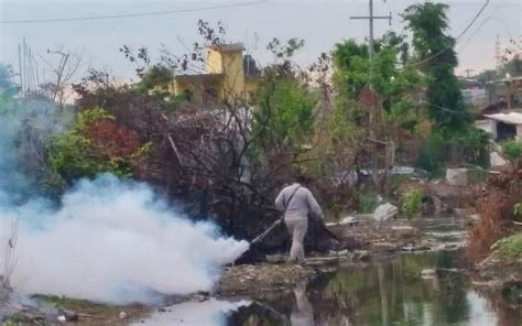 Intensifica Gobierno Acciones Contra El Dengue El Sol De Acapulco