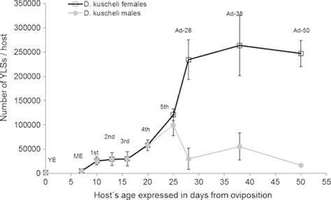 Number Of Yls Per Host Along Its Life Cycle And According To Sex