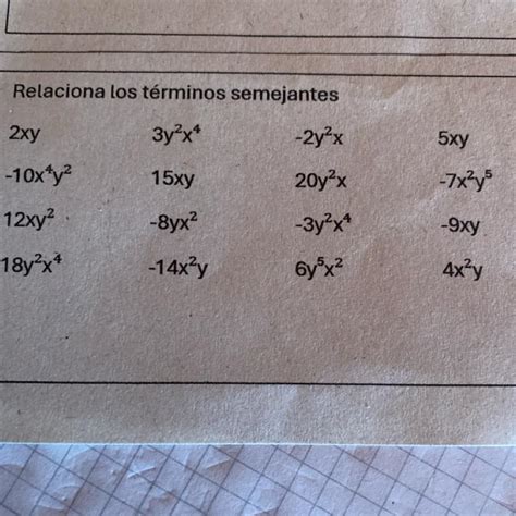 Relaciona los términos semejantes Brainly lat