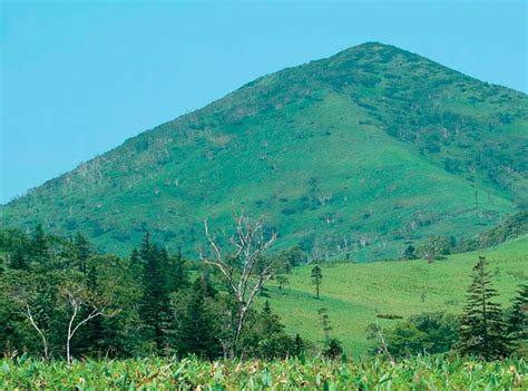 Неуловимый рододендрон