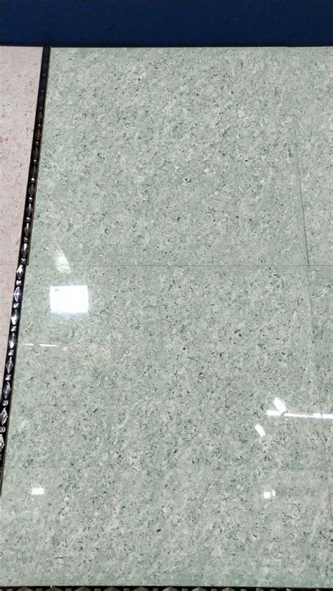 Gloss Double Charged Vitrified Tiles Thickness 8 10mm At Rs 30 Sq Ft