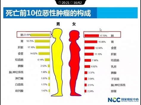 国家癌症中心：2017最新肿瘤现状，全国每天约1万人确诊癌症！如何预防？一次给你讲清楚！ 全球肿瘤医生网