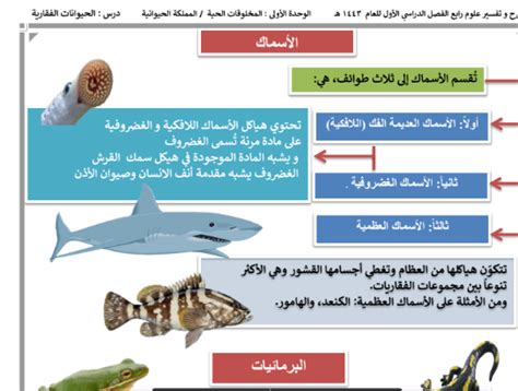 ملخص درس ما الفقاريات الأسماك علوم رابع ابتدائي ف1 بداية