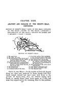 Category:Sheep head anatomy - Wikimedia Commons