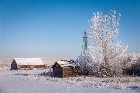 Hoarfrost on Alberta Prairies | Beyond Aperture