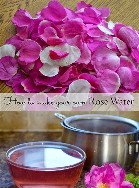 How To Make Rose Water Toner Using Fresh Rose Petals In 2024 Rose