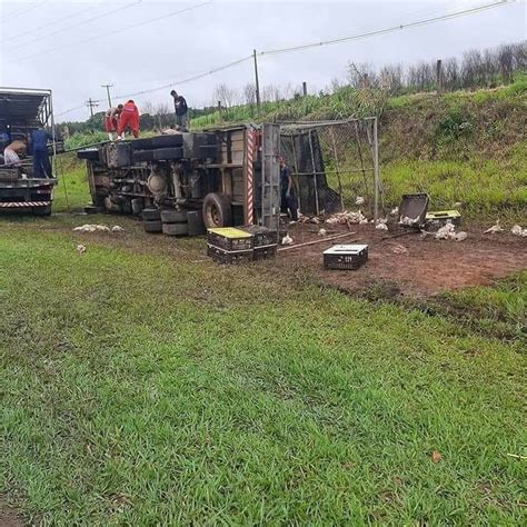 MOGI GUAÇU CAMINHÃO CARREGADO DE FRANGOS VIVOS TOMBA NA SP 340