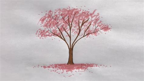 Chinese Cherry Blossom Tree Drawing Step By Step