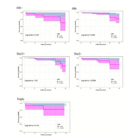 Kaplan Meier Curves Of Dfs Differences Stratified By The Molecular