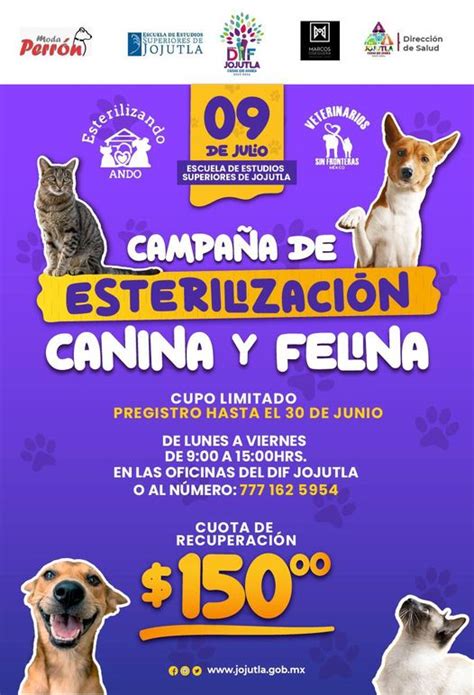 El Dato Noticias Morelos On Twitter Campa A De Esterilizaci N Canina