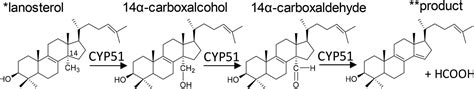 A Requirement For An Active Proton Delivery Network Supports A Compound