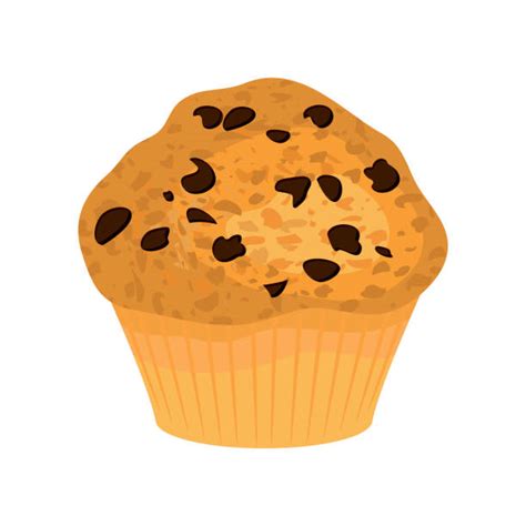 Chocolate Chip Muffin Stock Vectors Istock