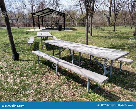 Picnic Area in a Public Park Stock Photo - Image of park, tables: 144771742