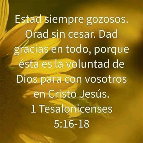 1 Tesalonicenses 5 16 18 1 Tesalonicenses Voluntad De Dios