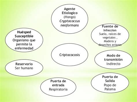 Cadenas Epidemiologicas