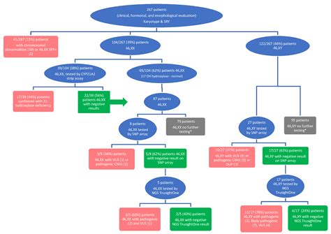 Diagnostics Free Full Text Molecular And Cytogenetic Analysis Of