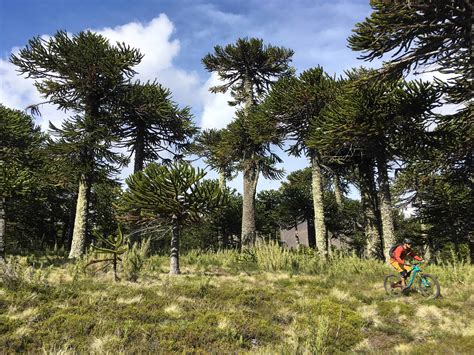 day mountain biking   chiles lake  volcano district