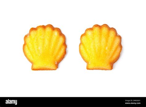 madeleine french pastry isolated on white background Stock Photo - Alamy