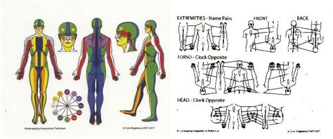 Books BodyMapping Acupuncture Technique Pocket Chart Acupuncture