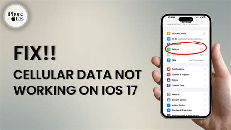 How To Fix Cellular Data Not Working Issue On Ios 17 Youtube