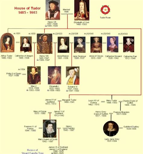 The Tudor Monarch: Tudor Family Tree