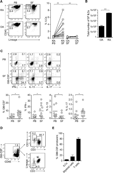 Gm Csf Producing Ilcs In Synovial Fluid Of Ra Patients A The Presence