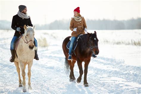 What Is The Best Winter Horse Riding Jacket On The Market?