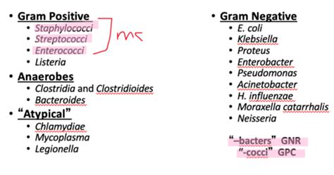 Drugs For Bacterial Infections Flashcards Quizlet