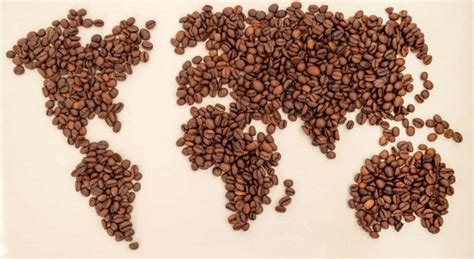 African Coffee: The Specialty Coffee Paradise Of Rich Flavors