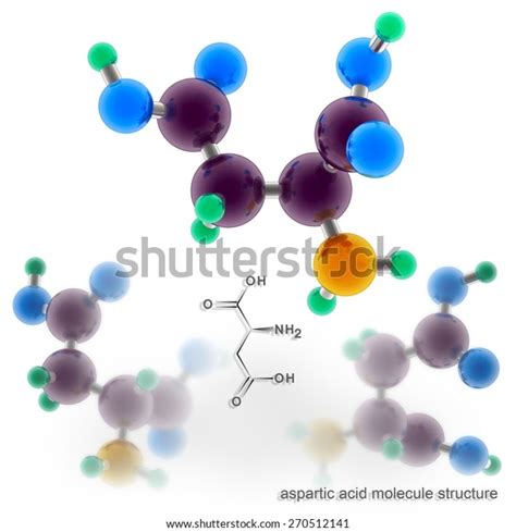 Aspartic Acid Molecule Structure Three Dimensional Stock Illustration ...