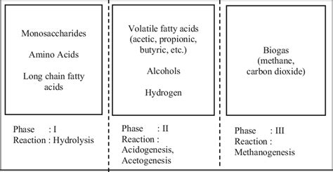 Anaerobic digestion process [17]. | Download Scientific Diagram